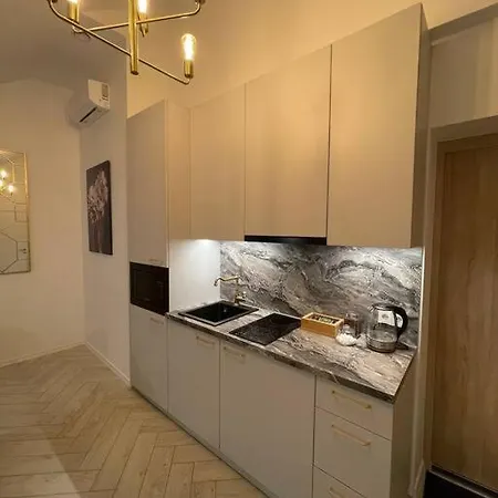 E.m. In Center Apartment Kaunas