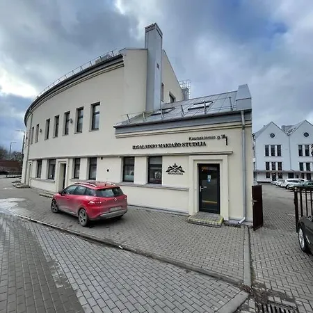 E.m. In Center Apartment Kaunas