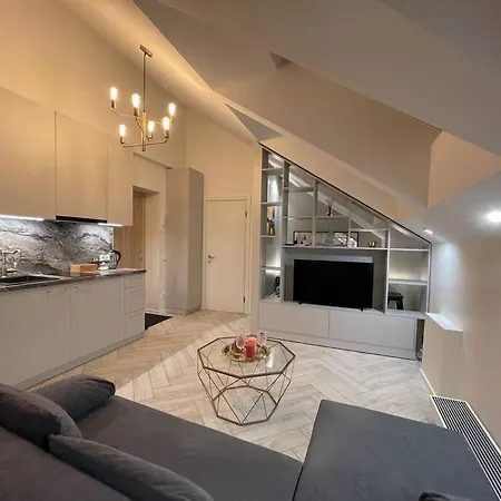 E.m. In Center Apartment Kaunas