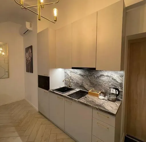 E.m. In Center Lejlighed Kaunas