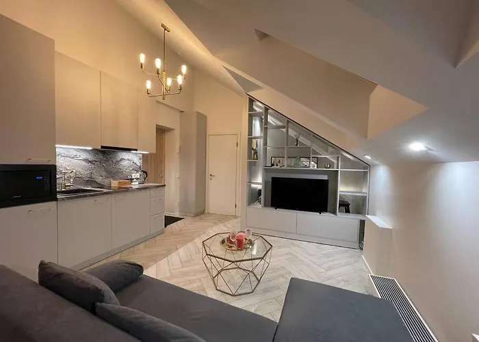 E.m. In Center Lägenhet Kaunas